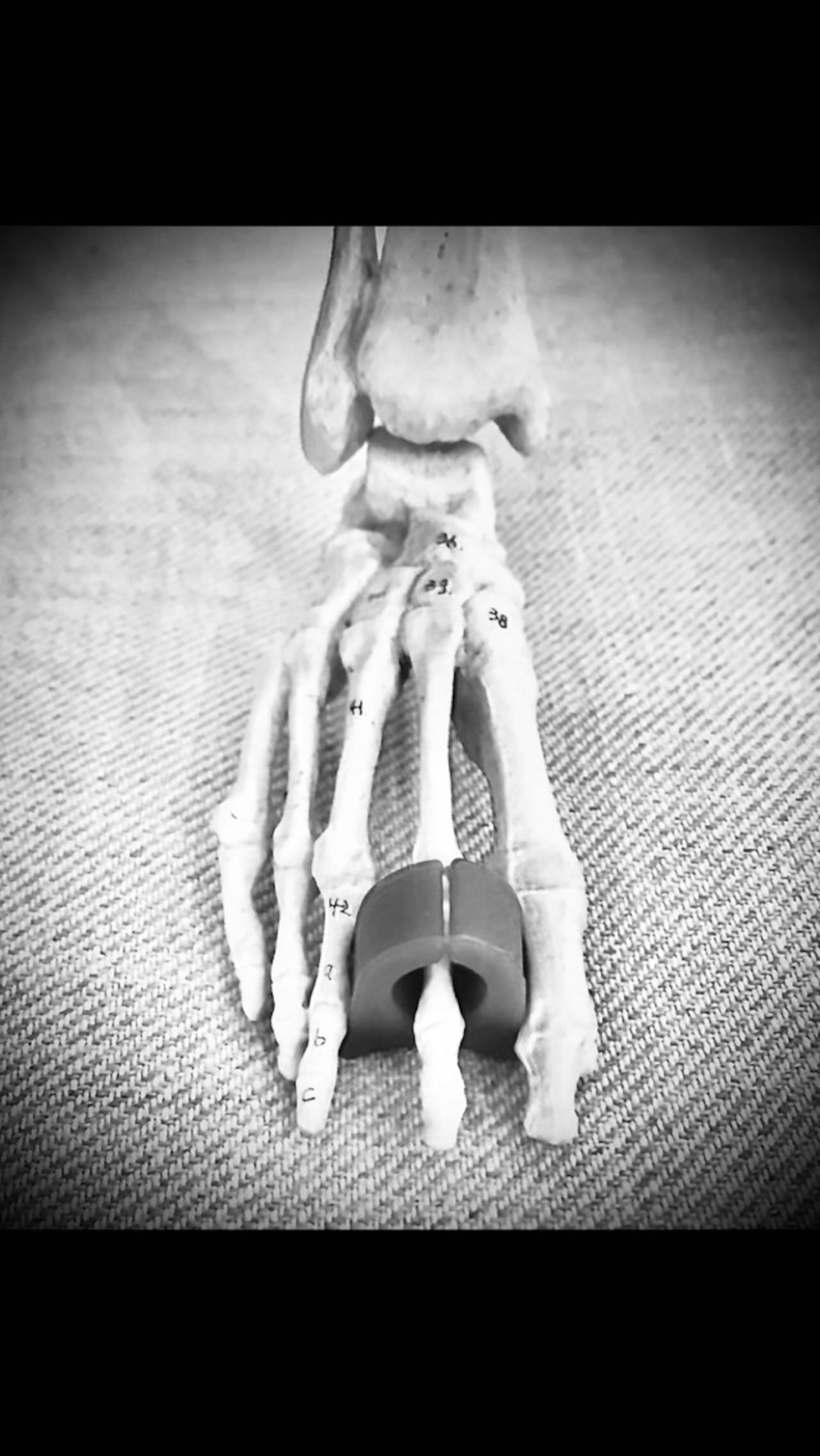 A-waer for FEET